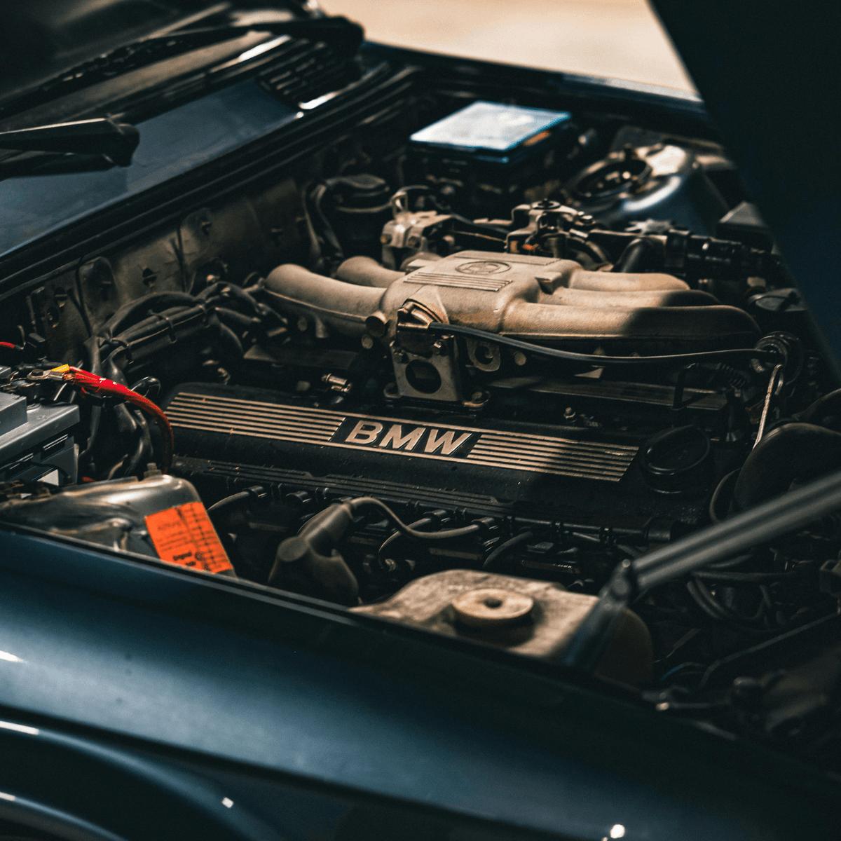 BMW inline-six engine in an open engine bay with valve cover displaying the BMW logo