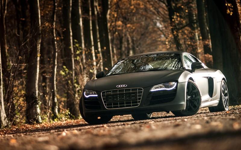 Fall Maintenance Tips for Your Audi That You Need to Know